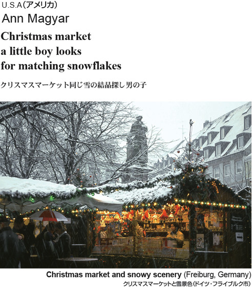 Christmas market a little boy looks for matching snowflakes --Ann Magyar (United States)
