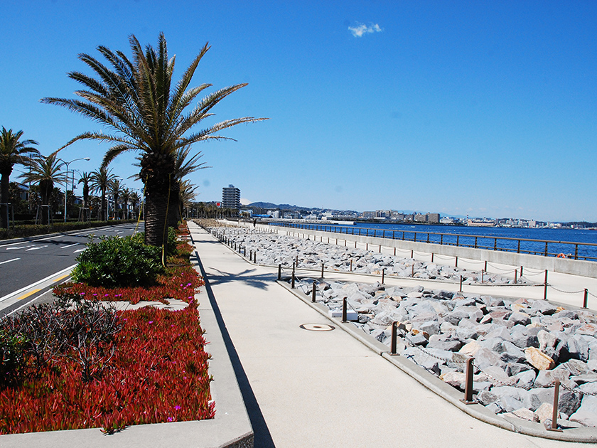 Maborikaigan promenade(Yokosuka, Kanagawa Prefecture)